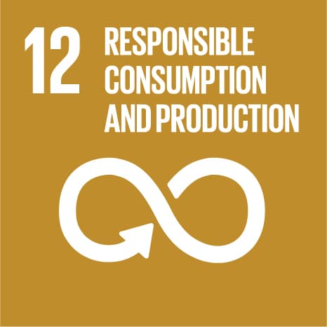 SDG 12: Responsible Consumption & Production